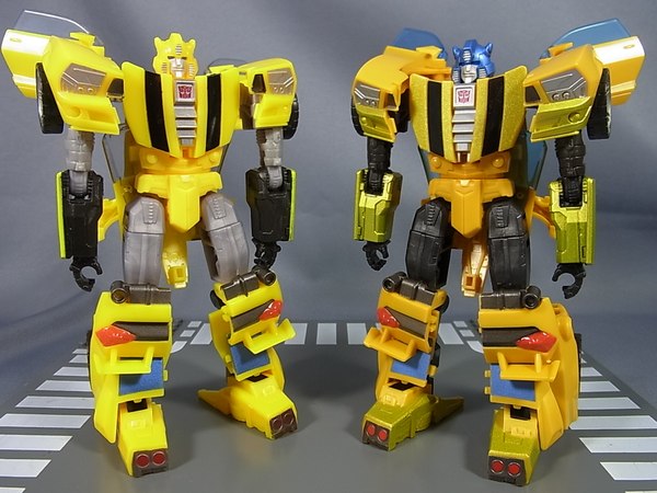 Transformers Generations TG 26 Bumblebee Goldbug Out Of Package Images Compare Takara And Hasbro Toys  (1 of 17)